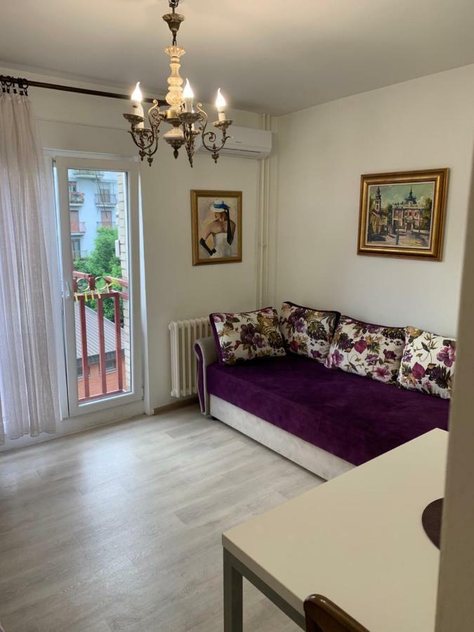 Violet Star Apartment 诺威萨 外观 照片