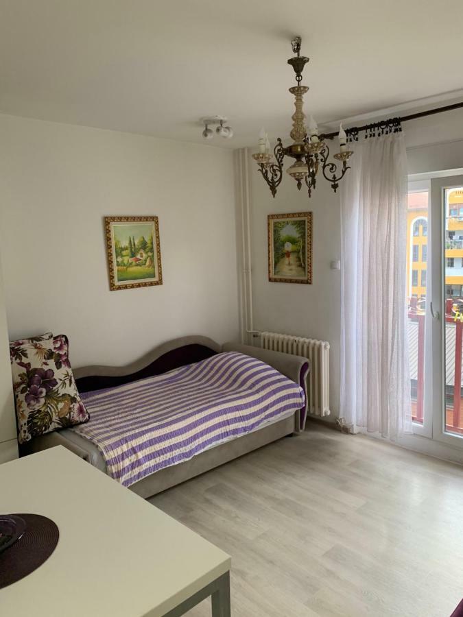 Violet Star Apartment 诺威萨 外观 照片